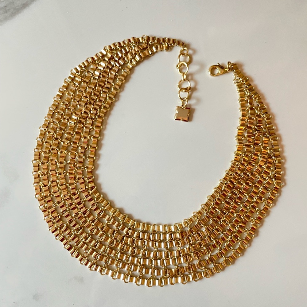 BCBG MAXAZRIA necklace